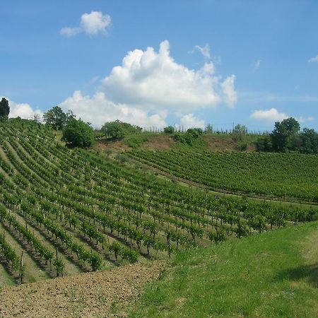 Agriturismo Gaggioli Borgo Delle Vigne 졸라프레도사 외부 사진