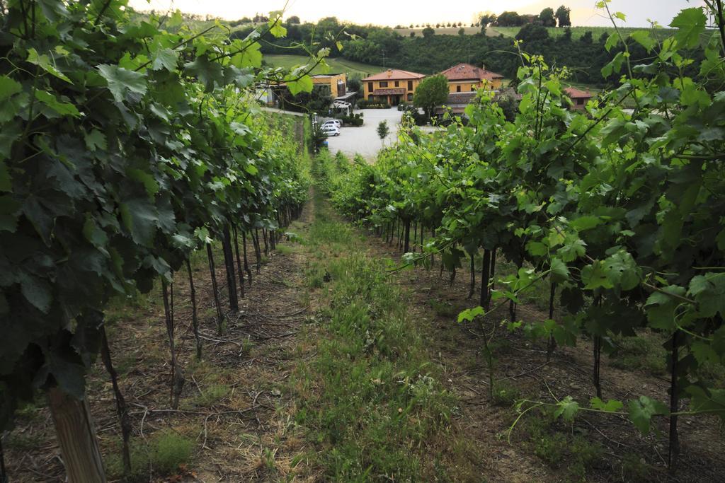 Agriturismo Gaggioli Borgo Delle Vigne 졸라프레도사 외부 사진