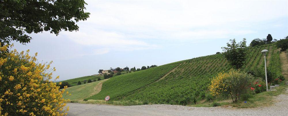 Agriturismo Gaggioli Borgo Delle Vigne 졸라프레도사 외부 사진