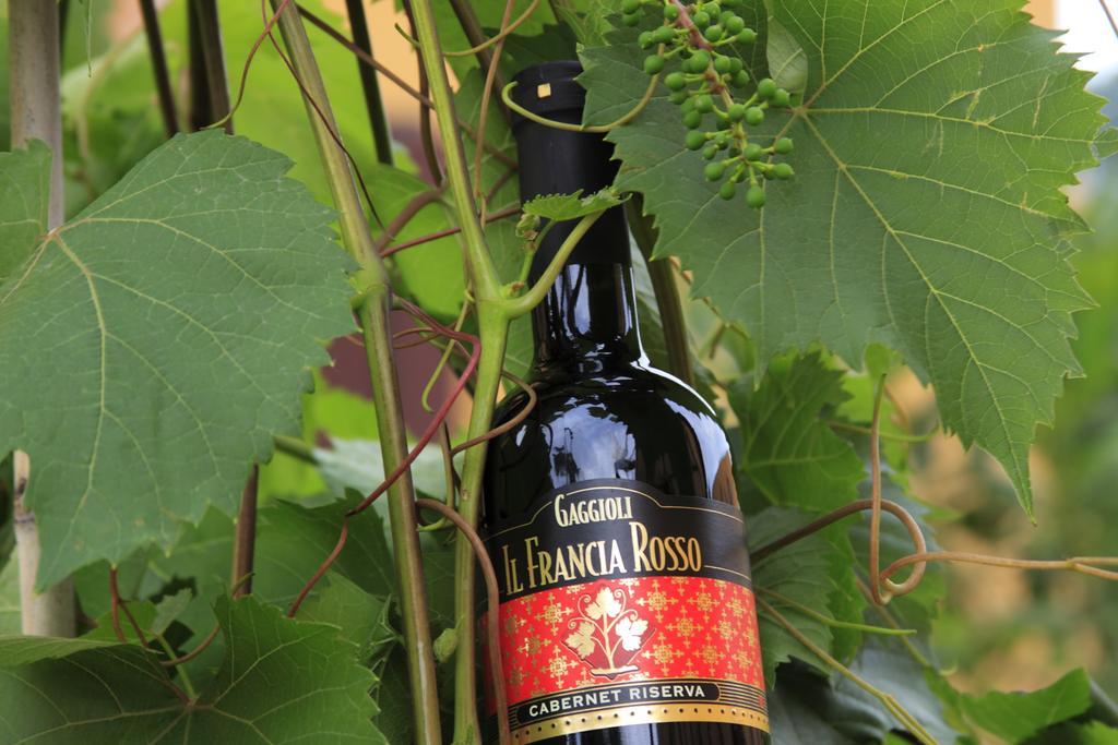 Agriturismo Gaggioli Borgo Delle Vigne 졸라프레도사 외부 사진