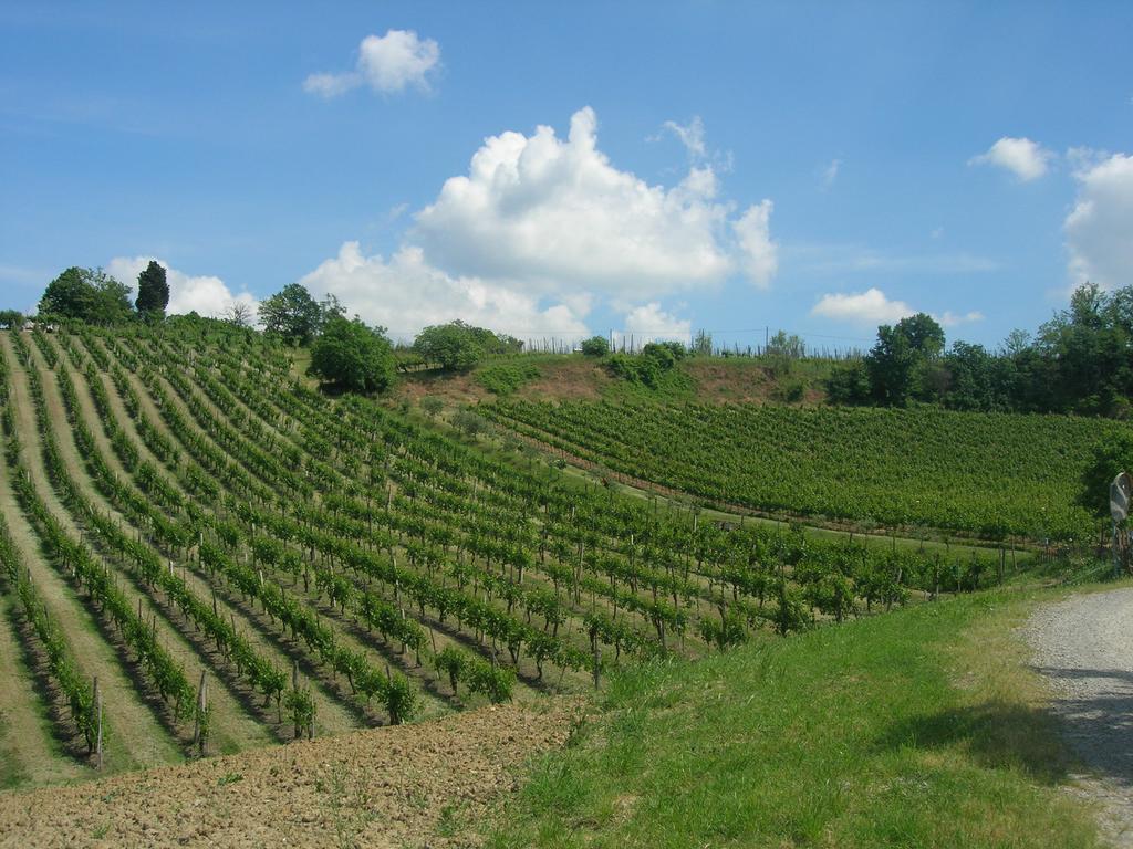 Agriturismo Gaggioli Borgo Delle Vigne 졸라프레도사 외부 사진