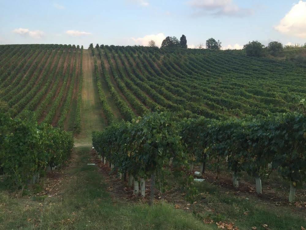 Agriturismo Gaggioli Borgo Delle Vigne 졸라프레도사 외부 사진